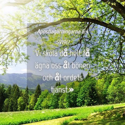 Picture 04 - Apostlagärningarna 6:4 SV1917 - Vi skola då helt få ägna oss åt bönen och - Bible Verse Picture