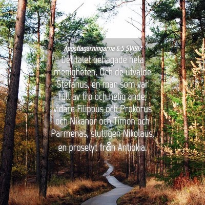 Picture 04 - Apostlagärningarna 6:5 SV1917 - Det talet behagade hela menigheten. Och de - Bible Verse Picture