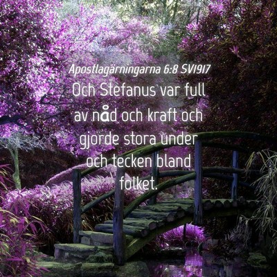 Picture 04 - Apostlagärningarna 6:8 SV1917 - Och Stefanus var full av nåd och kraft och - Bible Verse Picture