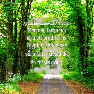 Picture 04 - Apostlagärningarna 7:12 SV1917 - Men när Jakob fick höra att bröd fanns i - Bible Verse Picture