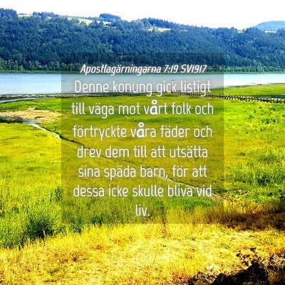 Picture 04 - Apostlagärningarna 7:19 SV1917 - Denne konung gick listigt till väga mot vårt - Bible Verse Picture