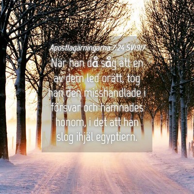 Picture 04 - Apostlagärningarna 7:24 SV1917 - När han då såg att en av dem led orätt, tog - Bible Verse Picture