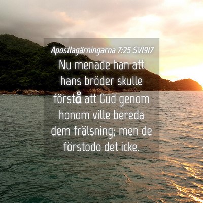 Picture 04 - Apostlagärningarna 7:25 SV1917 - Nu menade han att hans bröder skulle förstå - Bible Verse Picture