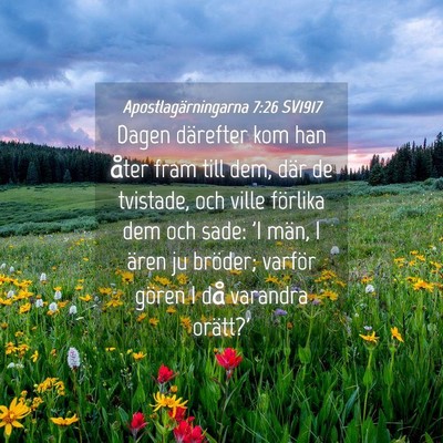 Picture 04 - Apostlagärningarna 7:26 SV1917 - Dagen därefter kom han åter fram till dem, där - Bible Verse Picture