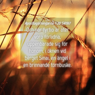 Picture 04 - Apostlagärningarna 7:30 SV1917 - Och när fyrtio är äter voro förlidna, - Bible Verse Picture