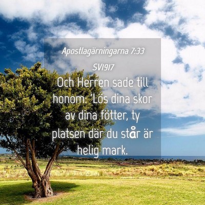 Picture 04 - Apostlagärningarna 7:33 SV1917 - Och Herren sade till honom: 'Lös dina skor av - Bible Verse Picture