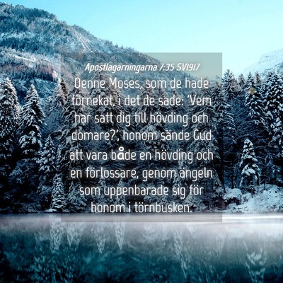 Picture 04 - Apostlagärningarna 7:35 SV1917 - Denne Moses, som de hade förnekat, i det de - Bible Verse Picture