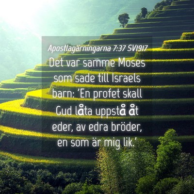 Picture 04 - Apostlagärningarna 7:37 SV1917 - Det var samme Moses som sade till Israels barn: - Bible Verse Picture