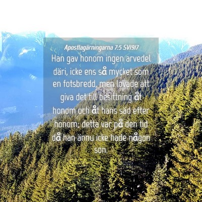 Picture 04 - Apostlagärningarna 7:5 SV1917 - Han gav honom ingen arvedel däri, icke ens så - Bible Verse Picture