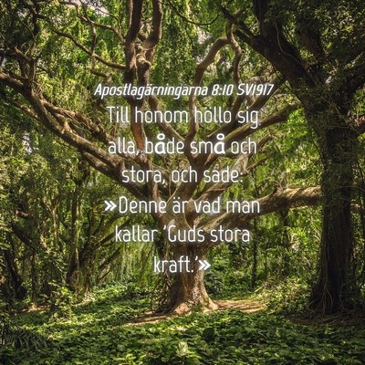 Picture 04 - Apostlagärningarna 8:10 SV1917 - Till honom höllo sig alla, både små och stora, - Bible Verse Picture
