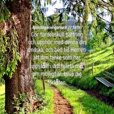 Picture 04 - Apostlagärningarna 8:22 SV1917 - Gör fördenskull bättring och upphör med denna - Bible Verse Picture