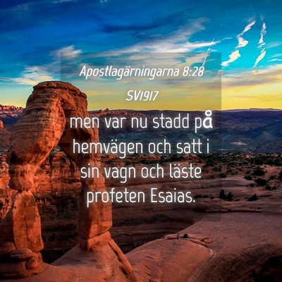 Picture 04 - Apostlagärningarna 8:28 SV1917 - men var nu stadd på hemvägen och satt i sin - Bible Verse Picture