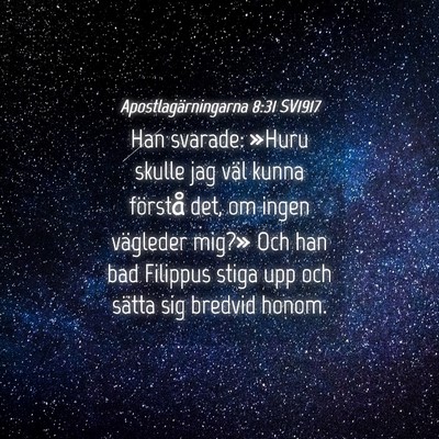 Picture 04 - Apostlagärningarna 8:31 SV1917 - Han svarade: »Huru skulle jag väl kunna - Bible Verse Picture