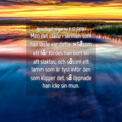 Picture 04 - Apostlagärningarna 8:32 SV1917 - Men det ställe i skriften som han läste var - Bible Verse Picture