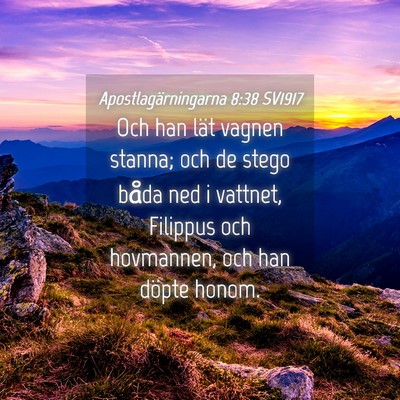 Picture 04 - Apostlagärningarna 8:38 SV1917 - Och han lät vagnen stanna; och de stego båda - Bible Verse Picture