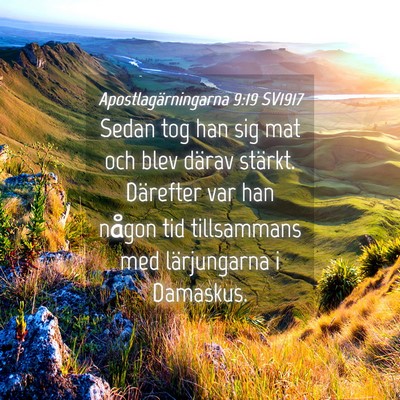 Picture 04 - Apostlagärningarna 9:19 SV1917 - Sedan tog han sig mat och blev därav stärkt. - Bible Verse Picture