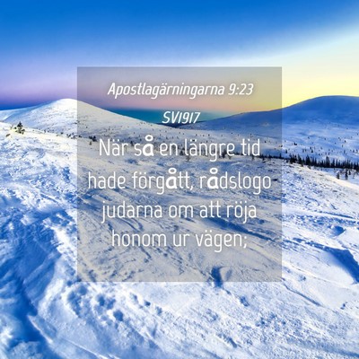 Picture 04 - Apostlagärningarna 9:23 SV1917 - När så en längre tid hade förgått, rådslogo - Bible Verse Picture