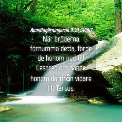 Picture 04 - Apostlagärningarna 9:30 SV1917 - När bröderna förnummo detta, förde de honom - Bible Verse Picture
