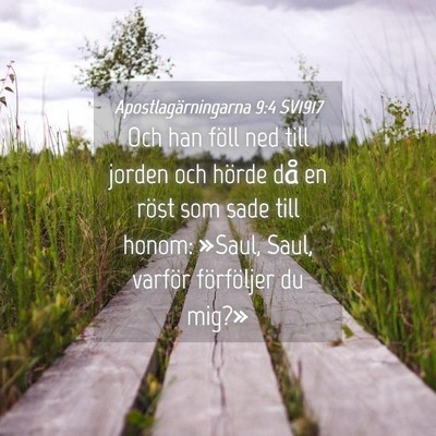 Picture 04 - Apostlagärningarna 9:4 SV1917 - Och han föll ned till jorden och hörde då en - Bible Verse Picture