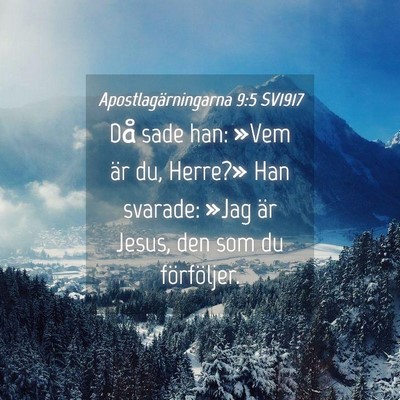 Picture 04 - Apostlagärningarna 9:5 SV1917 - Då sade han: »Vem är du, Herre?» Han svarade: - Bible Verse Picture