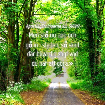Picture 04 - Apostlagärningarna 9:6 SV1917 - Men stå nu upp och gå in i staden, så skall - Bible Verse Picture