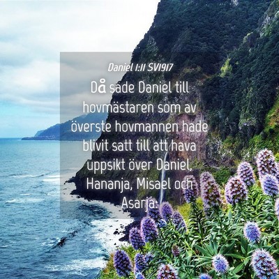 Picture 04 - Daniel 1:11 SV1917 - Då sade Daniel till hovmästaren som av överste - Bible Verse Picture
