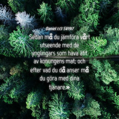 Picture 04 - Daniel 1:13 SV1917 - Sedan må du jämföra vårt utseende med de - Bible Verse Picture