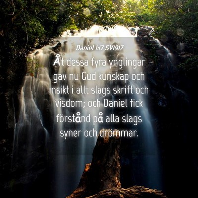Picture 04 - Daniel 1:17 SV1917 - Åt dessa fyra ynglingar gav nu Gud kunskap och - Bible Verse Picture