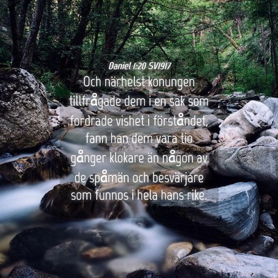 Picture 04 - Daniel 1:20 SV1917 - Och närhelst konungen tillfrågade dem i en sak - Bible Verse Picture