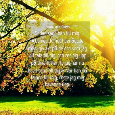 Picture 04 - Daniel 10:11 SV1917 - Sedan sade han till mig: »Daniel, du högt - Bible Verse Picture