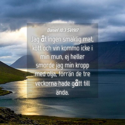 Picture 04 - Daniel 10:3 SV1917 - Jag åt ingen smaklig mat, kött och vin kommo - Bible Verse Picture