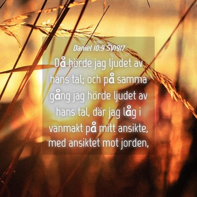 Picture 04 - Daniel 10:9 SV1917 - Då hörde jag ljudet av hans tal; och på samma - Bible Verse Picture