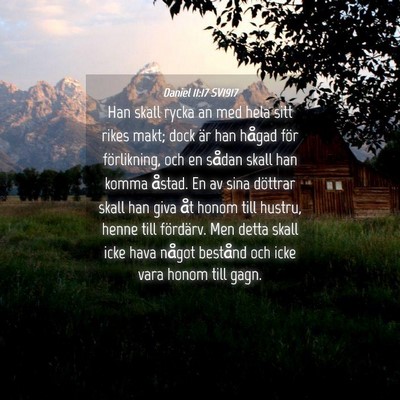 Picture 04 - Daniel 11:17 SV1917 - Han skall rycka an med hela sitt rikes makt; dock - Bible Verse Picture