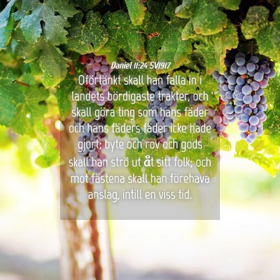Picture 04 - Daniel 11:24 SV1917 - Oförtänkt skall han falla in i landets - Bible Verse Picture