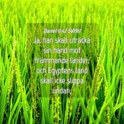 Picture 04 - Daniel 11:42 SV1917 - Ja, han skall uträcka sin hand mot främmande - Bible Verse Picture