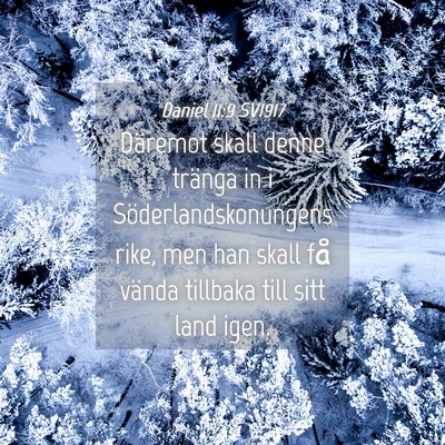 Picture 04 - Daniel 11:9 SV1917 - Däremot skall denne tränga in i - Bible Verse Picture