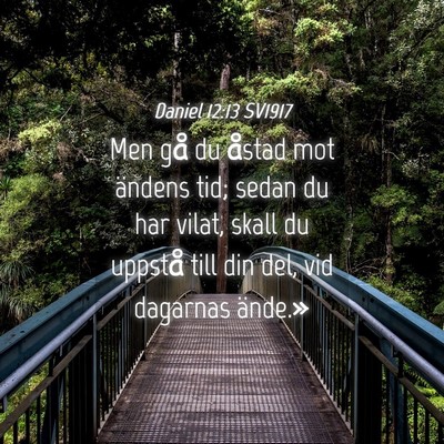 Picture 04 - Daniel 12:13 SV1917 - Men gå du åstad mot ändens tid; sedan du har - Bible Verse Picture