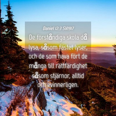 Picture 04 - Daniel 12:3 SV1917 - De förståndiga skola då lysa, såsom fästet - Bible Verse Picture