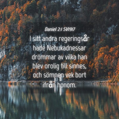 Picture 04 - Daniel 2:1 SV1917 - I sitt andra regeringsår hade Nebukadnessar - Bible Verse Picture