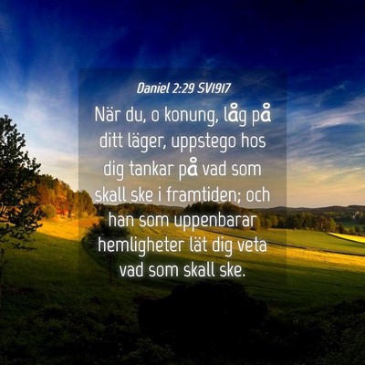 Picture 04 - Daniel 2:29 SV1917 - När du, o konung, låg på ditt läger, uppstego - Bible Verse Picture