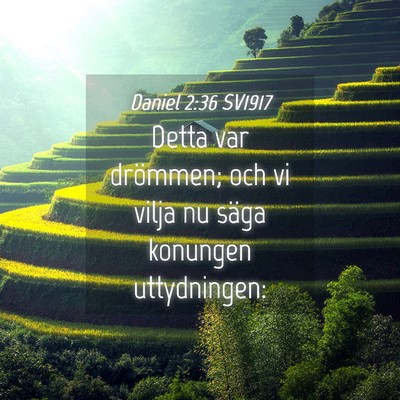 Picture 04 - Daniel 2:36 SV1917 - Detta var drömmen; och vi vilja nu säga - Bible Verse Picture