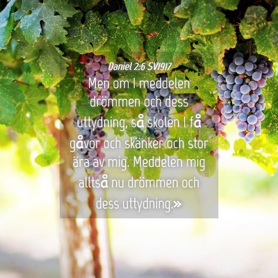 Picture 04 - Daniel 2:6 SV1917 - Men om I meddelen drömmen och dess uttydning, - Bible Verse Picture