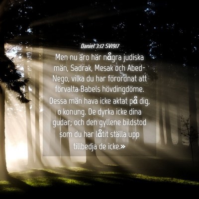 Picture 04 - Daniel 3:12 SV1917 - Men nu äro här några judiska män, Sadrak, - Bible Verse Picture