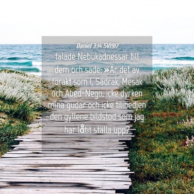 Picture 04 - Daniel 3:14 SV1917 - talade Nebukadnessar till dem och sade: »Är det - Bible Verse Picture