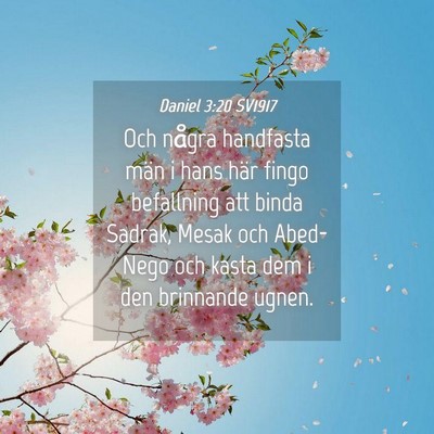 Picture 04 - Daniel 3:20 SV1917 - Och några handfasta män i hans här fingo - Bible Verse Picture