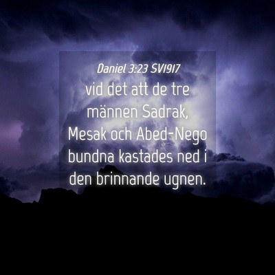 Picture 04 - Daniel 3:23 SV1917 - vid det att de tre männen Sadrak, Mesak och - Bible Verse Picture