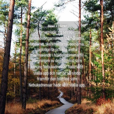 Picture 04 - Daniel 3:3 SV1917 - Då församlade sig satraperna, landshövdingarna - Bible Verse Picture