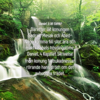 Picture 04 - Daniel 3:30 SV1917 - Därefter lät konungen Sadrak, Mesak och - Bible Verse Picture