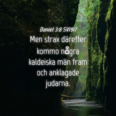 Picture 04 - Daniel 3:8 SV1917 - Men strax därefter kommo några kaldeiska män - Bible Verse Picture