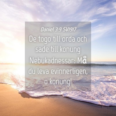Picture 04 - Daniel 3:9 SV1917 - De togo till orda och sade till konung - Bible Verse Picture